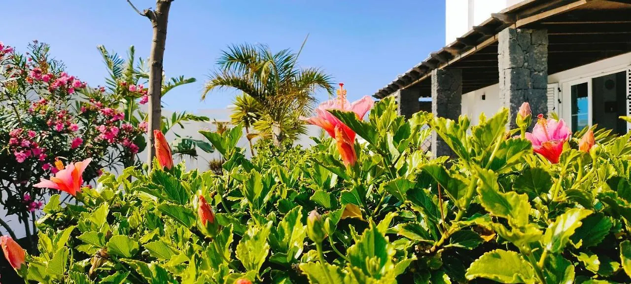 Villa Fedelian Avec Jardin Et Piscine Chauffee Playa Blanca